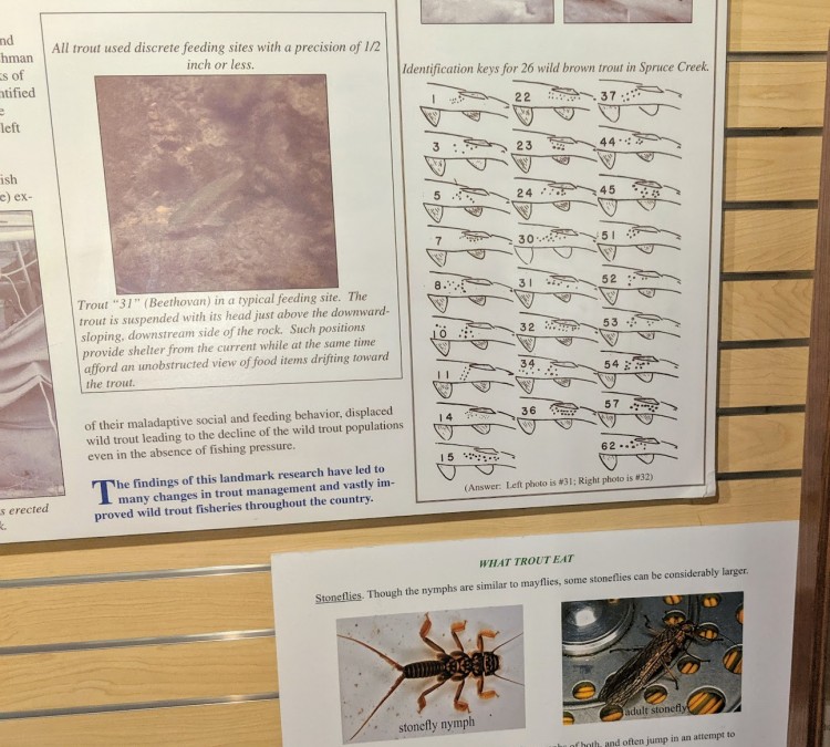 pennsylvania-fly-fishing-museum-association-photo